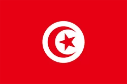 突尼斯U23 战队徽标