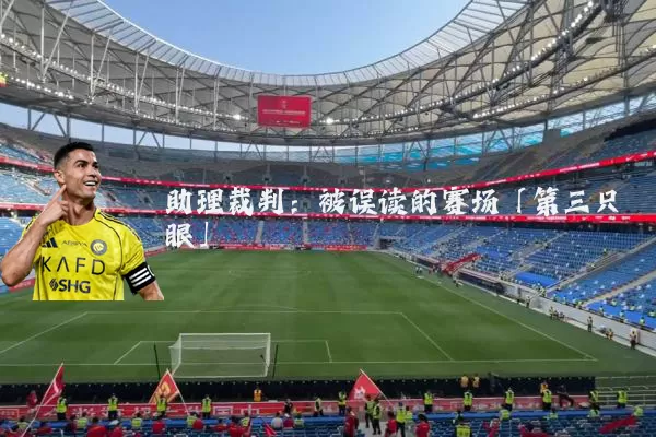 助理裁判:被误读的赛场「第三只眼」